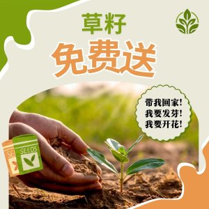 免费邮寄! 数量有限、先到先挑>>