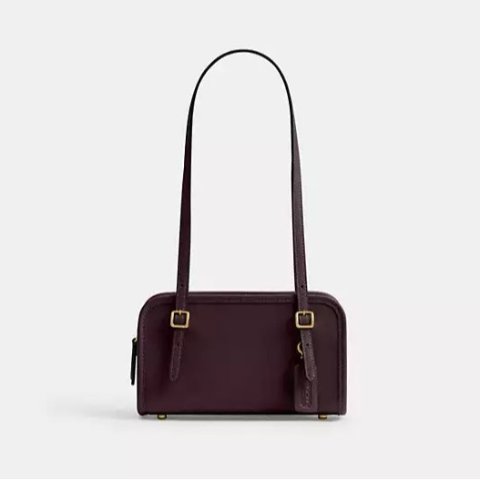 CoachSwing Zip Bag 20 Count