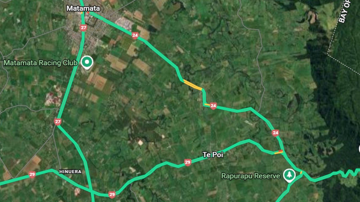 货车倾洒死鸡致路面湿滑，新西兰SH24国道惊现“遍地鸡尸”