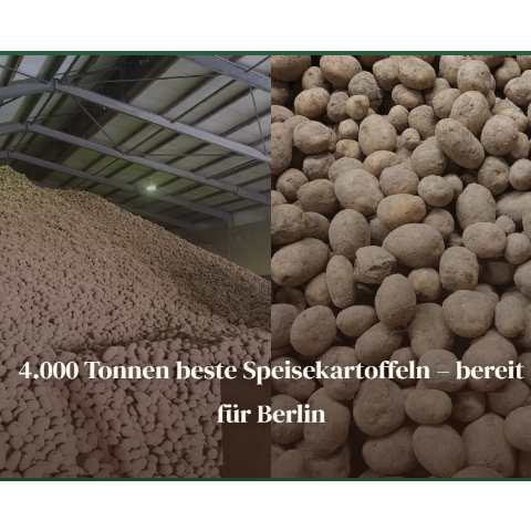 柏林免费领土豆啦！戳这里注册成为土豆领取点！