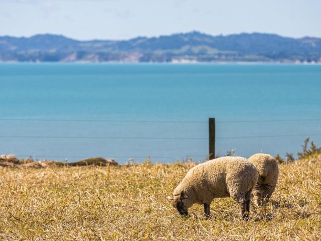 新西兰2025年天气报告：第四暖年...