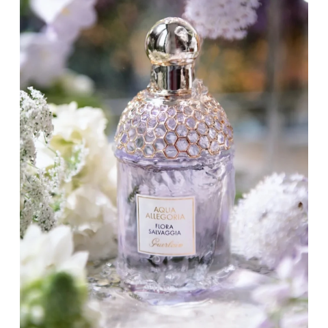 芳草仙踪香水 125ml