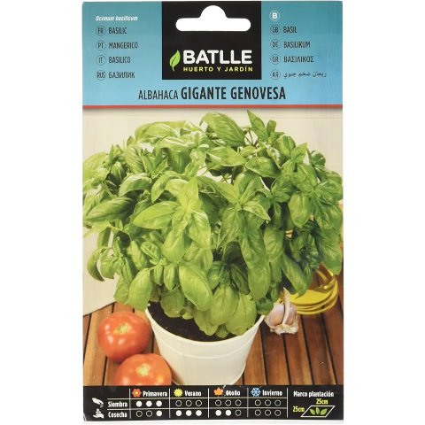 Batlle 巨型热那亚罗勒种子 4克 绿色