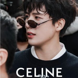 凯旋门金属太阳镜 CL40254U