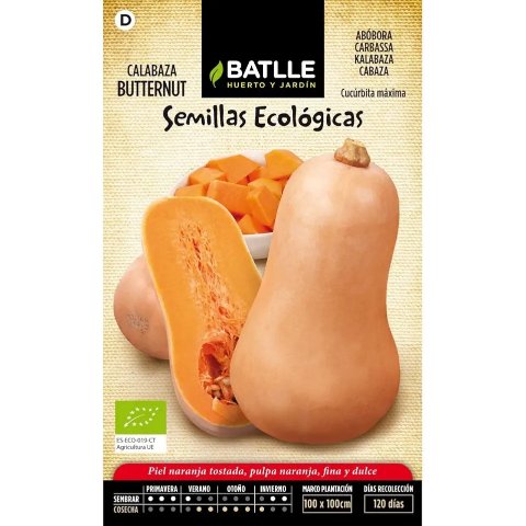 Batlle 南瓜种子 橙色 4克