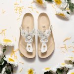 Birkenstock 老勃快来上班！Boston、毛绒勃肯参加