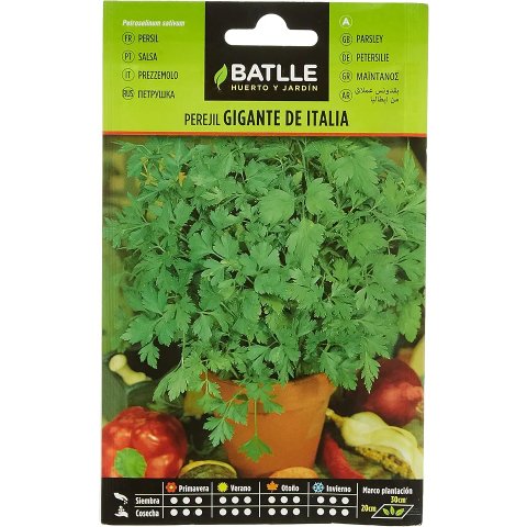 Aromatic Batlle 巨型欧芹种子 9克