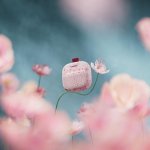 Bose SoundLink Micro 2代便携蓝牙音箱