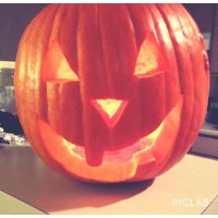 ranphykx magnetic blocks