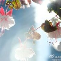 晨曦_abc