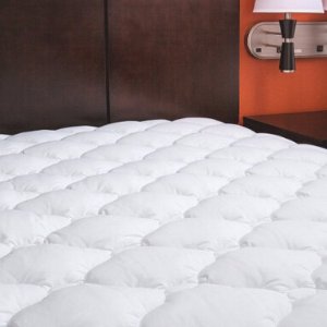 ExceptionalSheets Extra Plush Fitted Mattress Pad, Queen