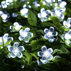 Solar Christmas String Lights,easyDecor 50 LED Flower 23ft White 8Mode Waterproof Decorative Blossom Light