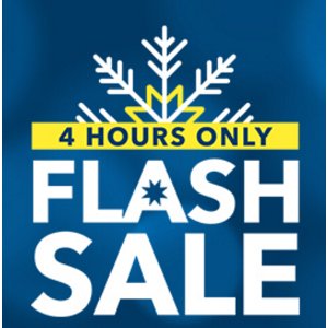 Best Buy 4-Hour Flash Sale