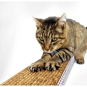 SmartyKat 可折叠猫抓板+有机猫薄荷