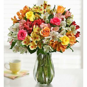 1-800-Flowers.com花束特惠～多色玫瑰+秘鲁百合+免费花瓶