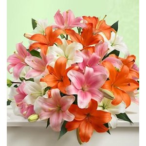 Vibrant Summer Lilies, Double Your Bouquet just $29.99