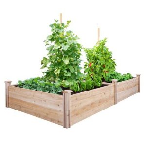 Home Depot精选花园植物培养床特卖