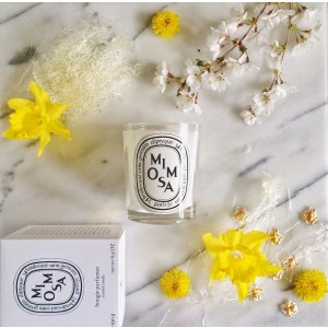 Diptyque Mimosa Scented Candle @ Bergdorf Goodman