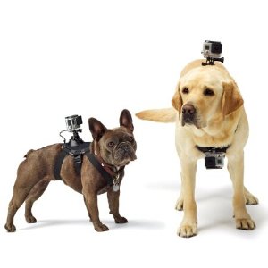 GoPro狗狗背带支架