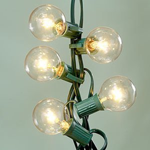 Deneve Globe String Lights with G40 Bulbs (25ft.)