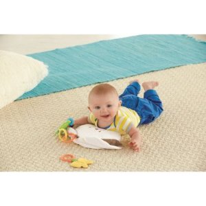 Fisher-Price SnuggaBunny 婴儿玩具枕礼品套装