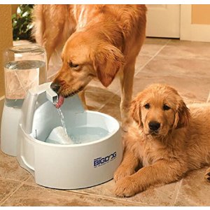 PetSafe Drinkwell活氧喷泉大型狗自动饮水机*2.25加仑
