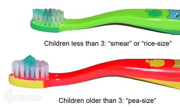 宝宝刷牙 用多少牙膏