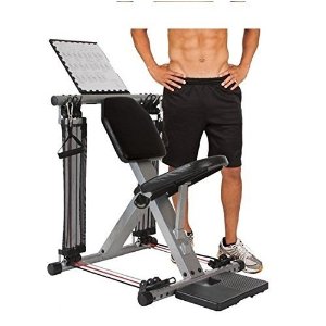 Flex Force 50-in-1 Resistance Chair Gym