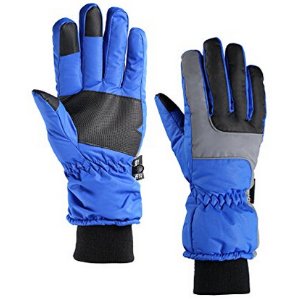 Fazitrip 3M Thinsulate Windproof & Waterproof Gloves for Men & Women