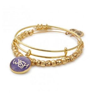 Limited Edition Wish Bangle Set of 2 (Valued At $66)