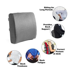 Easy Posture Memory Foam Lumbar Support Cushion - Gray