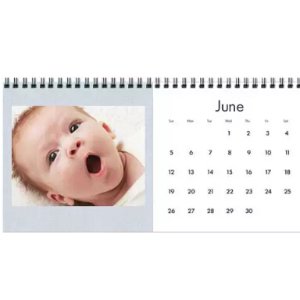 Photo Desktop Calendar (4x8)
