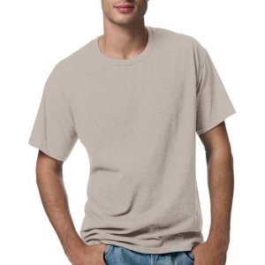 Hanes Men's Short Sleeve EcoSmart T-Shirt (Various Colors)