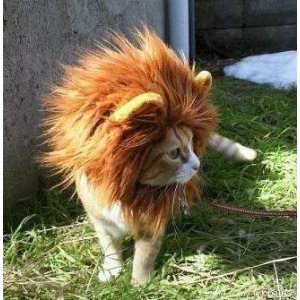 Lion Mane Dog Cat Costume and Complimentary Feathered Catnip Toy
