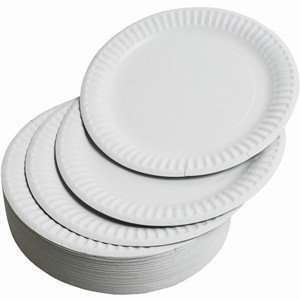 刷碗是什么？AJM  9" 白色纸盘子 (1200个)