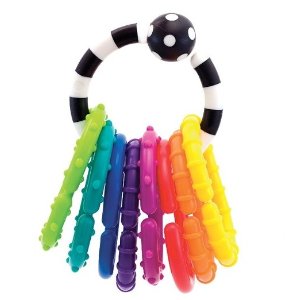 Sassy Ring O' Links Rattle Developmental Toy