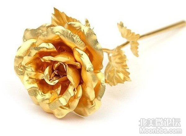 金饰宝石大解析 教你如何挑选适合自己的金饰宝石黑五购物小科普 北美省钱快报 金饰宝石大解析 教你如何挑选适合自己的金饰宝石黑五购物小科普 北美省钱快报