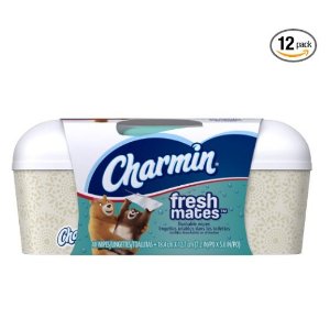Charmin Freshmates Flushable Wet Wipes, 40 count Tub (Pack of 12)