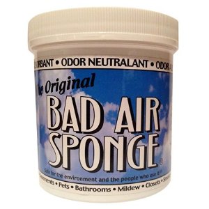 Bad Air Sponge 除臭海绵 16盎司