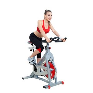 Pro Indoor Cycling Bike by Sunny Health & Fitness - SF-B901
