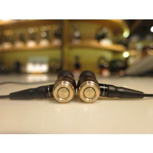 JVC HA-FX850 WOOD Dome Unit In-Ear Headphones