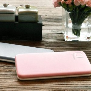 PURIDEA S2 Series Dual USB Power Bank External Battery, 2 Chargers,Multiple Colors