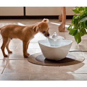 Amazon精选宠物喷泉饮水器和饮食器热卖
