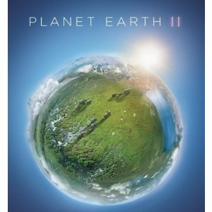 接近满分神作！Planet Earth II 第一集 岛屿