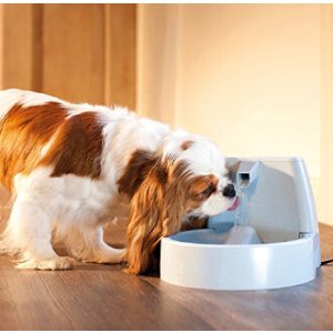 PetSafe Water Fountains and Doors @ Amazon