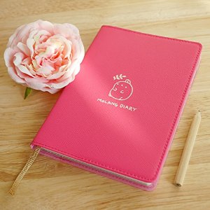 韩国Molang Diary记事本(多色可选)