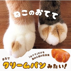 Cat's Paws Photobook @Amazon Japan