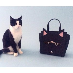 jazz things up cat small hayden @ kate spade