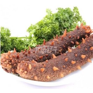 Red Sea Cucumber @ XLSeafood