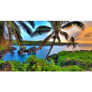 免费享受阳光沙滩夏威夷
